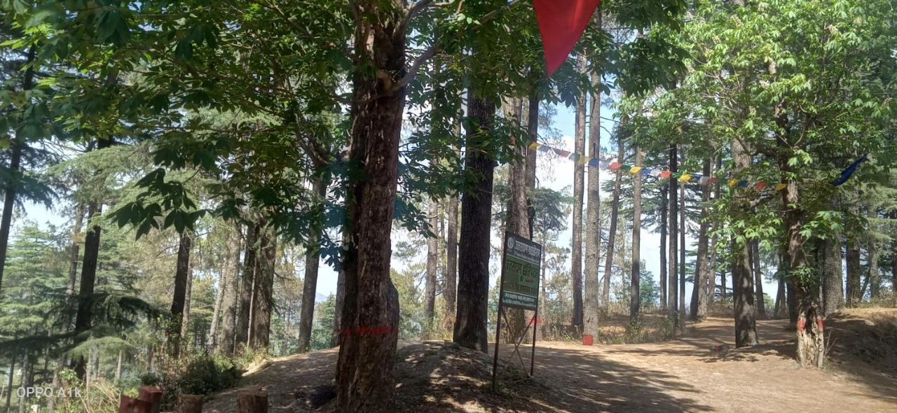 Evergreen Home Stay 阿尔莫拉 外观 照片