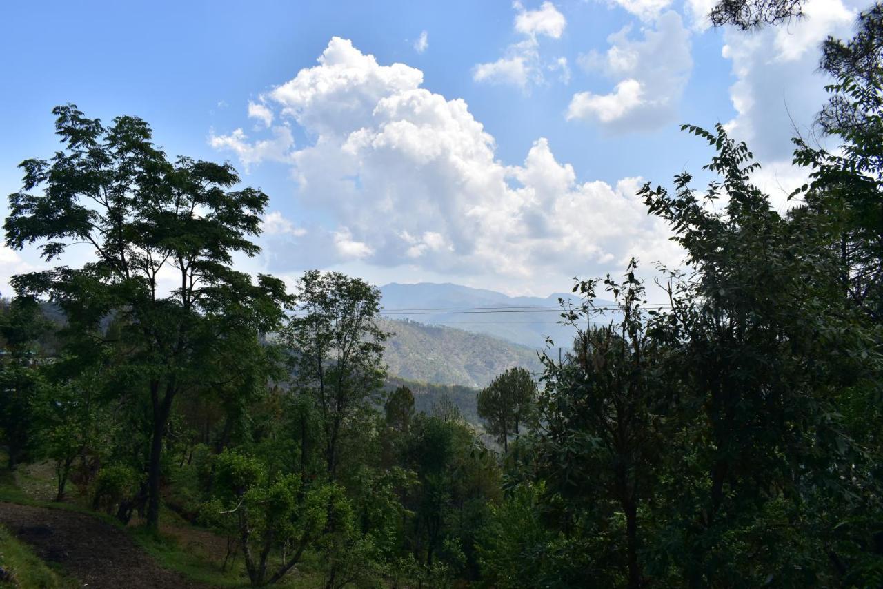 Evergreen Home Stay 阿尔莫拉 外观 照片