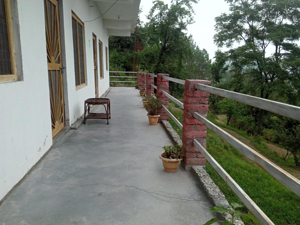 Evergreen Home Stay 阿尔莫拉 外观 照片